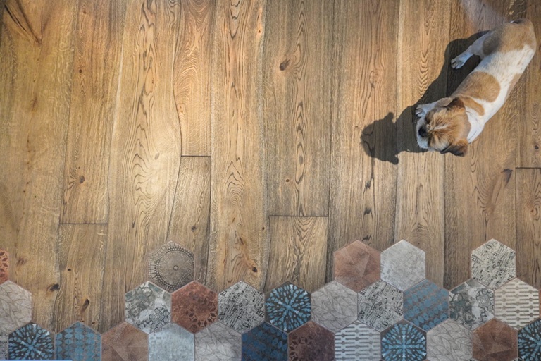 Renk Ton Parke Çalışması